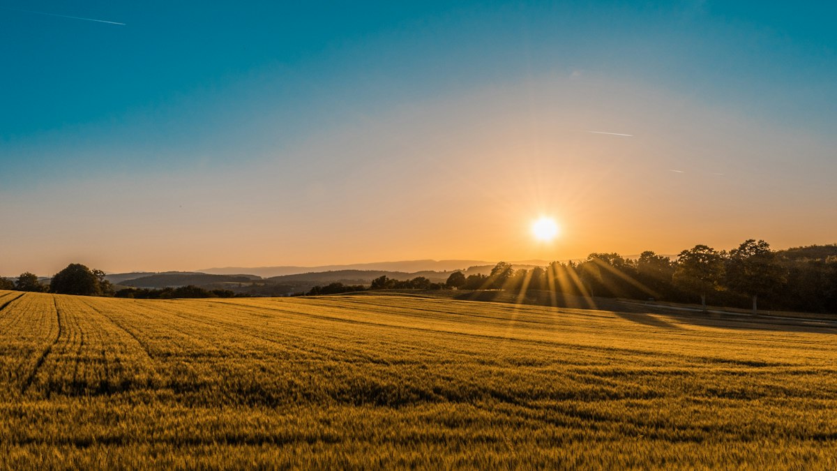 Mediterranean agricultural landscape